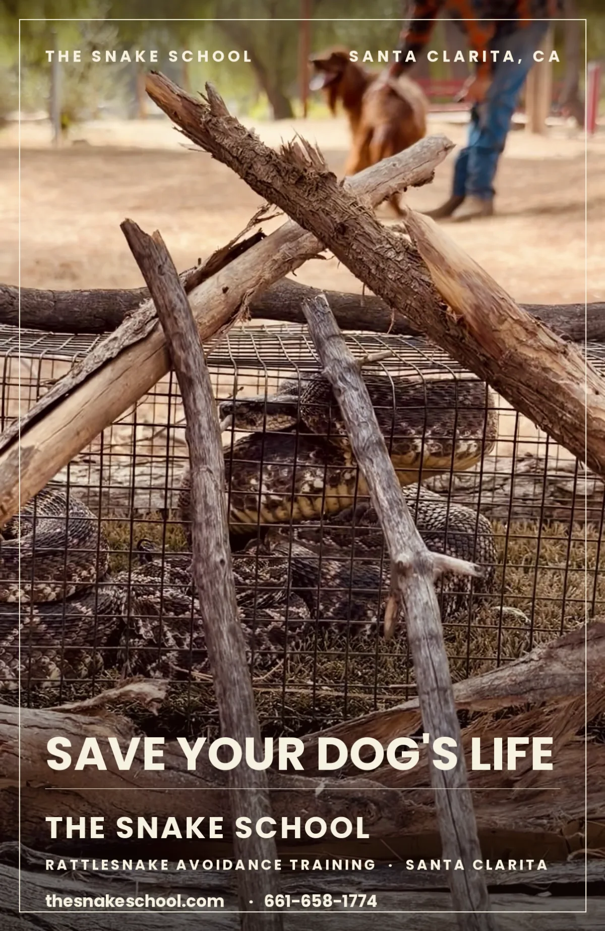 Save Your Dog's Life — The Snake School rattlesnake avoidance training, Santa Clarita