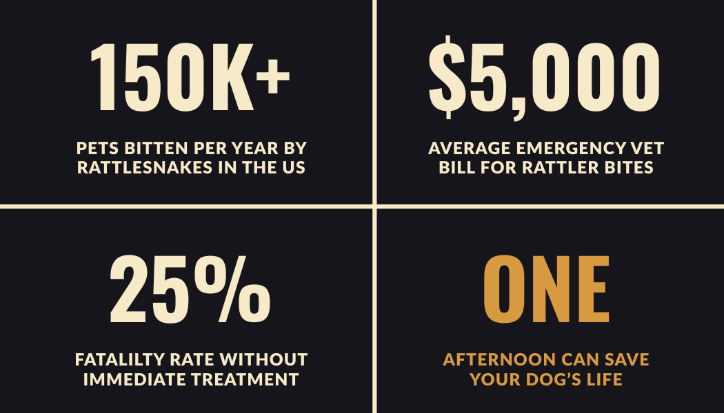 The Snake School for Dogs — rattlesnake avoidance training business card back