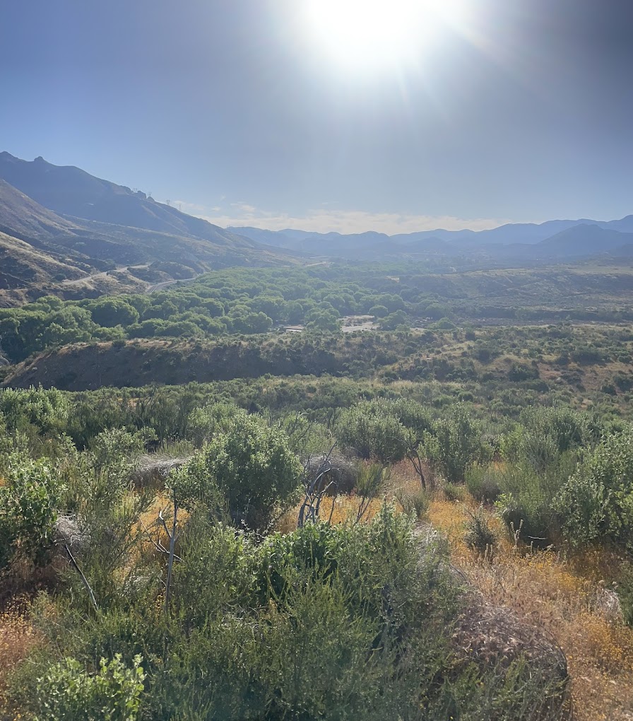 Polsa Rosa Ranch — private session rattlesnake training grounds