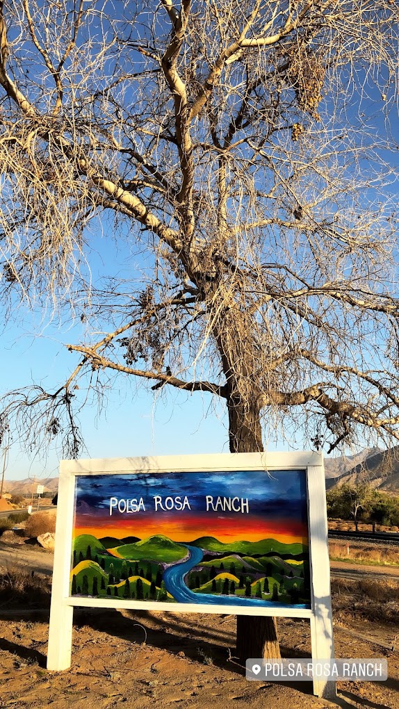 Polsa Rosa Ranch in Acton CA — rattlesnake avoidance dog training location