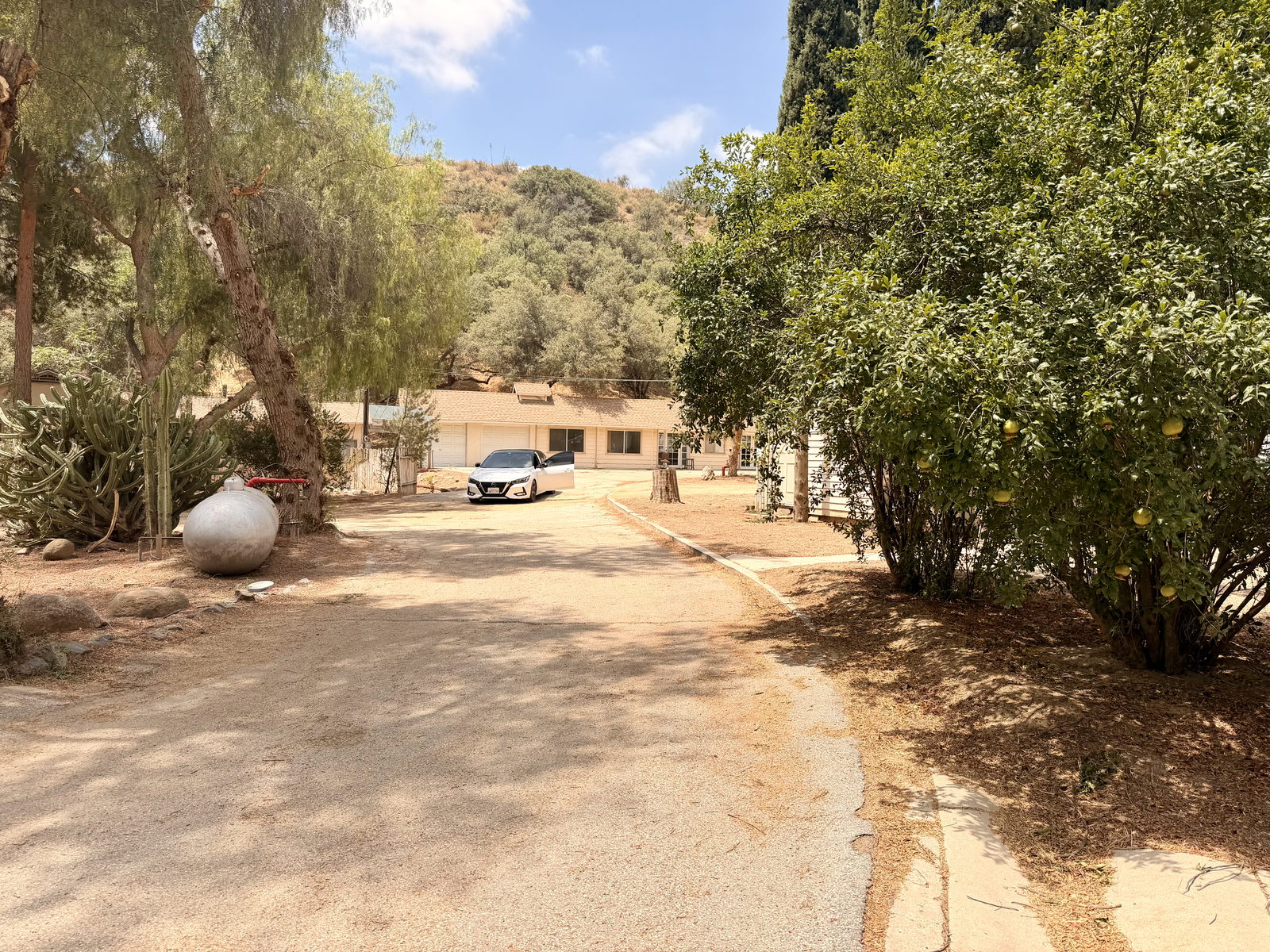 The SCV Rattlesnake Ranch — training grounds