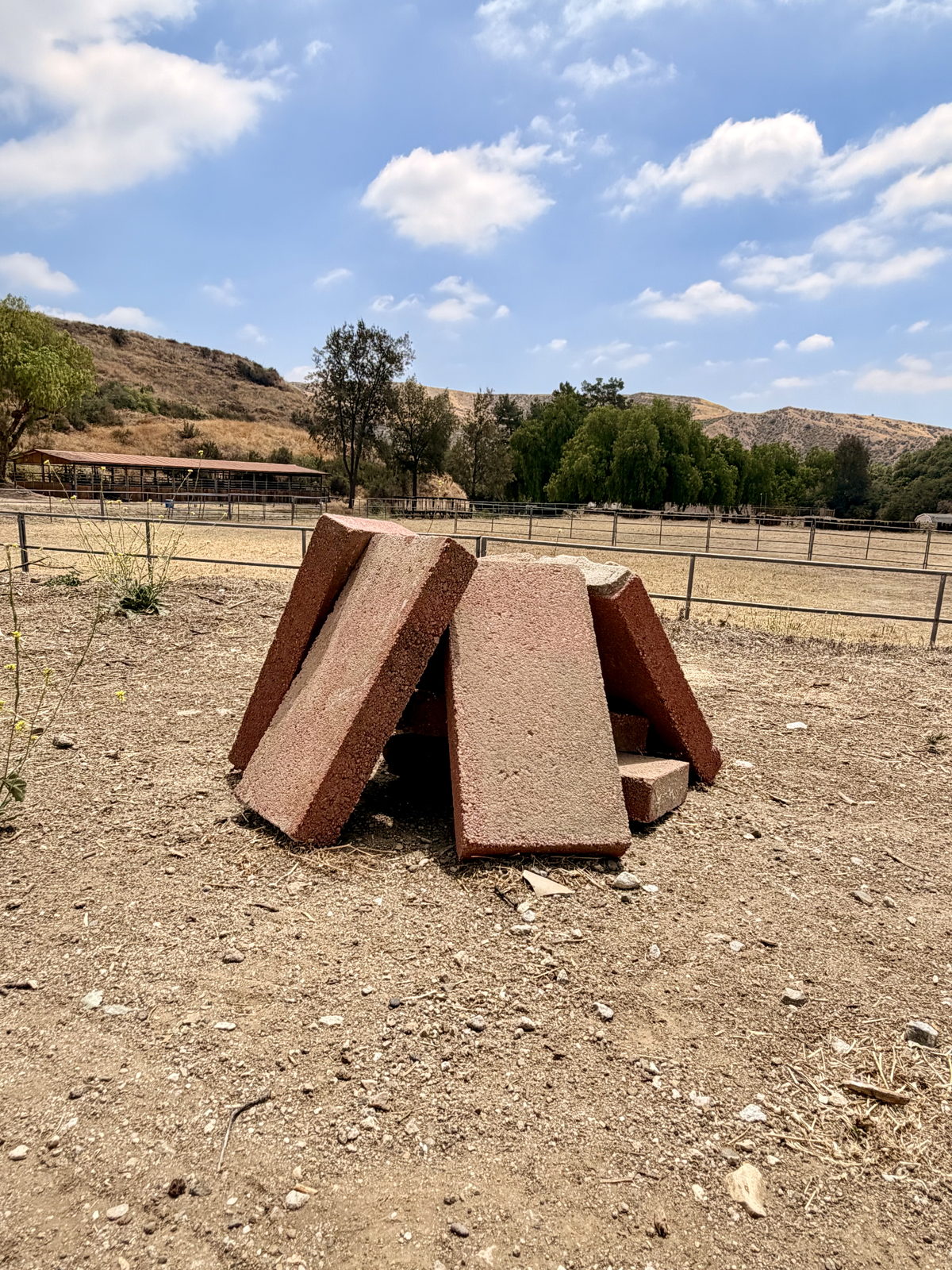 The SCV Rattlesnake Ranch — training grounds