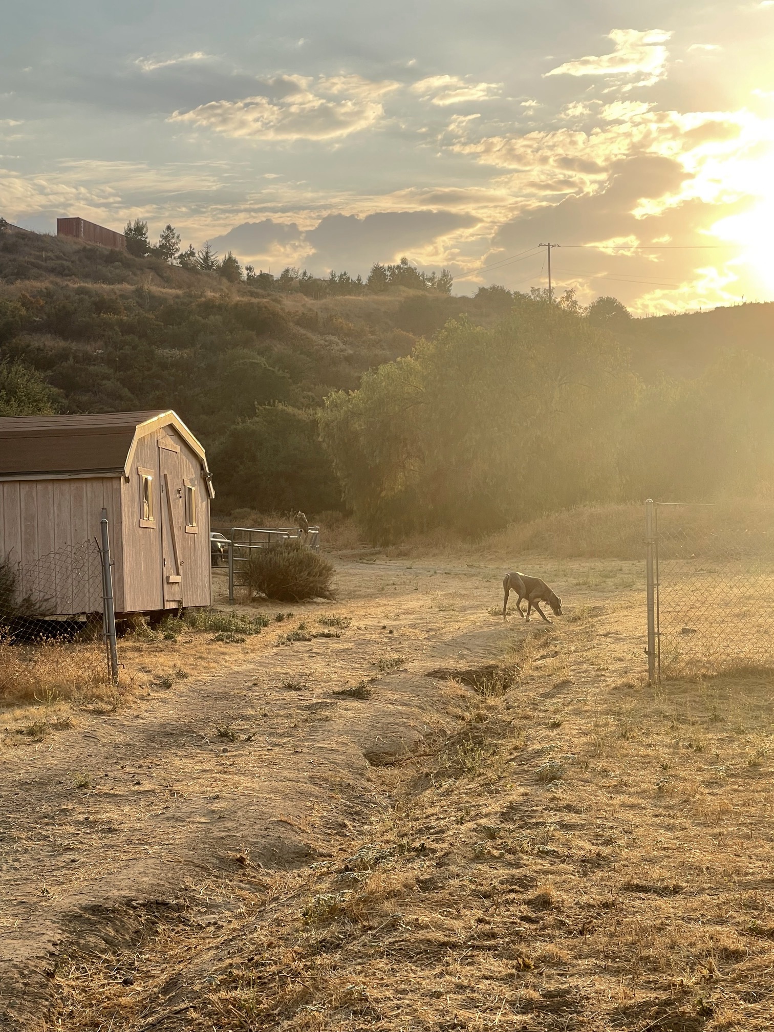Santa Clarita Ranch — Snake School training property