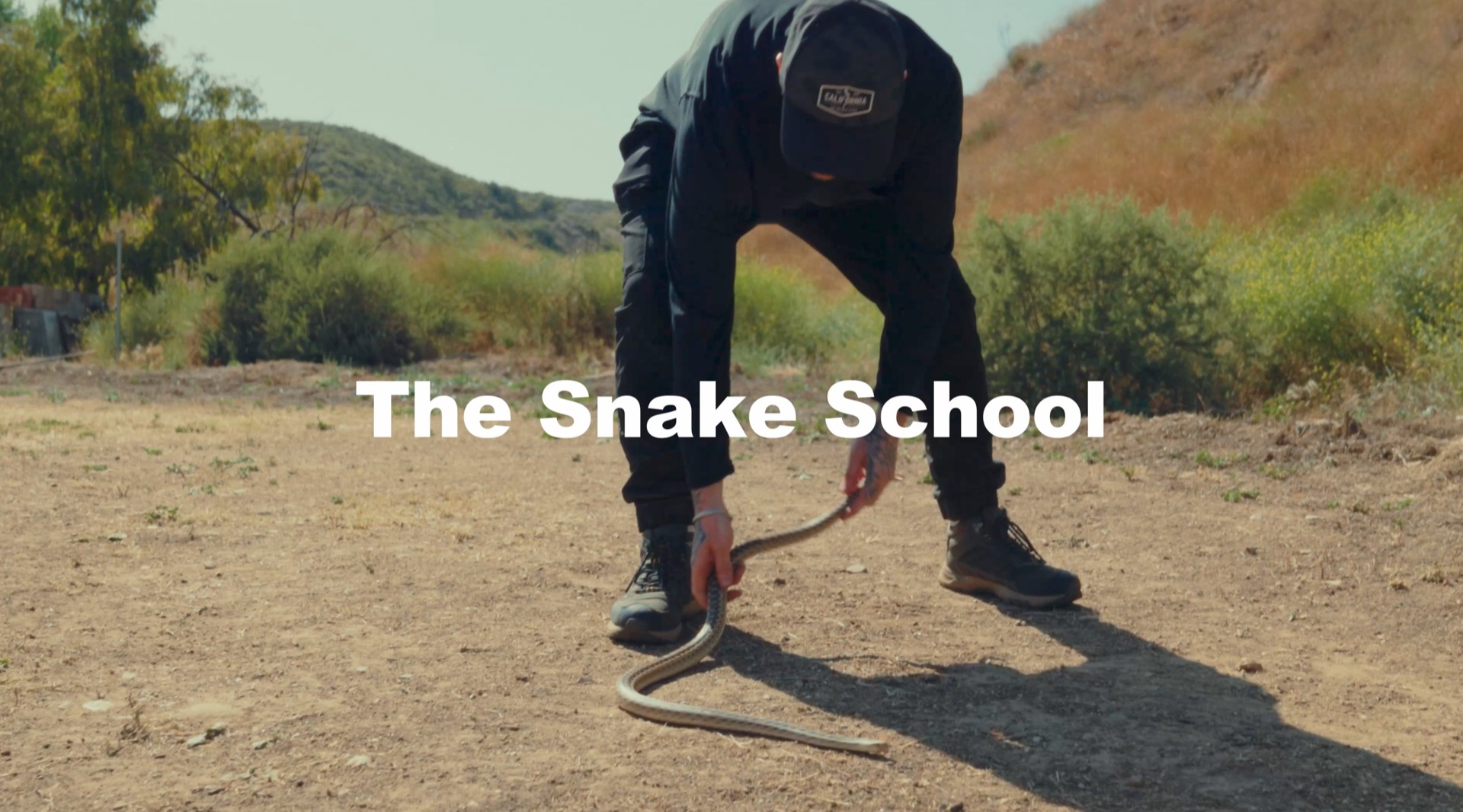 Rattlesnake avoidance training — The Snake School