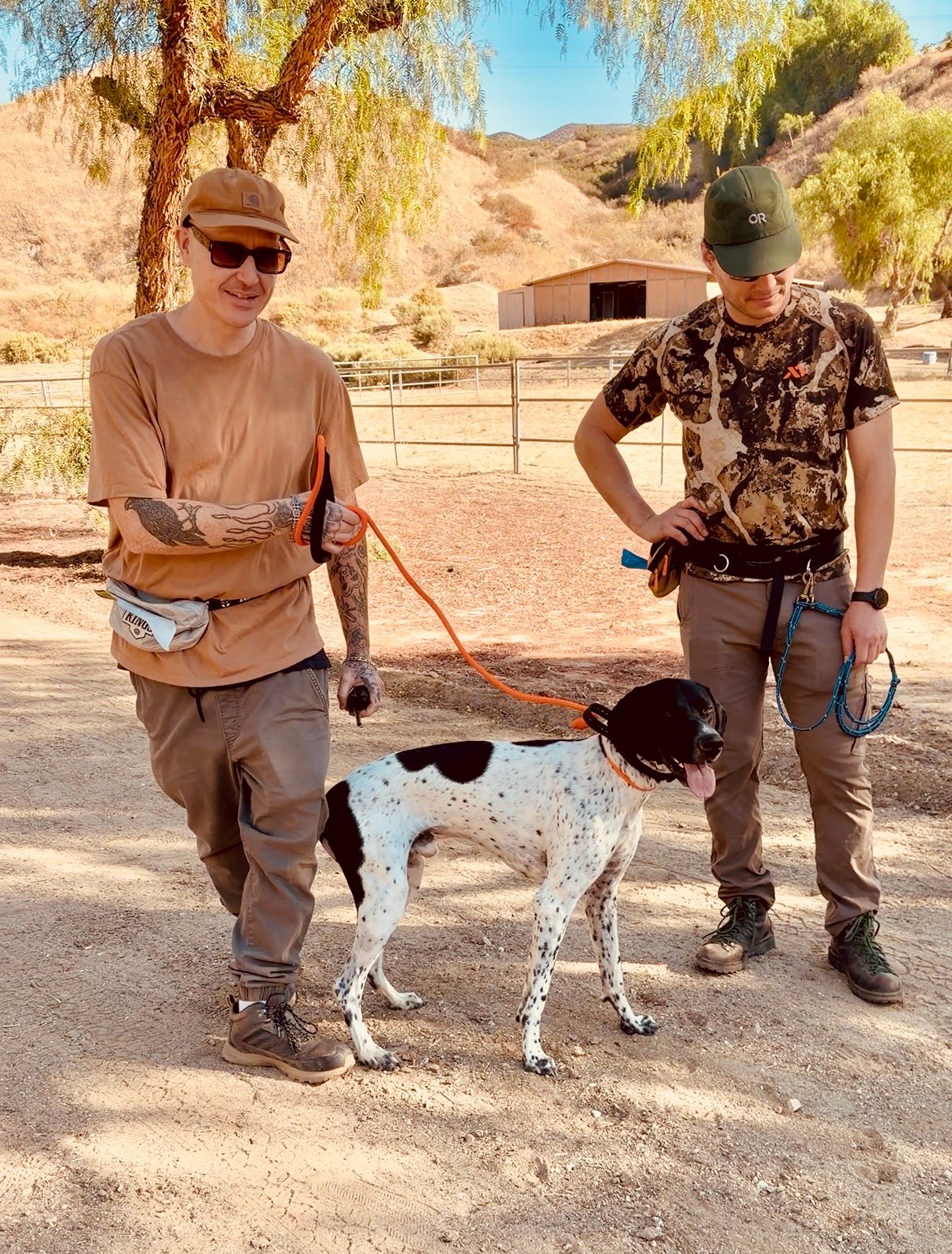 Snake School trainers with a German shorthaired pointer during rattlesnake avoidance training in Santa Clarita